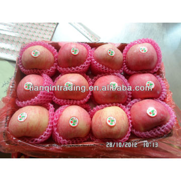 fresh shandong fuji apple price